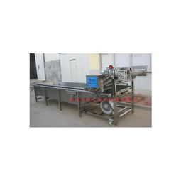 果蔬清洗機(jī)選購(gòu)指南 第40頁機(jī)械設(shè)備深度解析